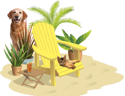 A drawing of sand, a chair, plants, an old dog and a kitten.